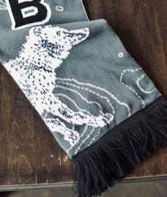 Load image into Gallery viewer, WRB Scarf
